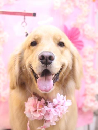 20250309レオくん